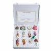 Budget ๐ Traditions Bride's Tree Collection Boxed Set/12 ๐ 1 Budget ๐ Traditions Bride's Tree Collection Boxed Set/12 ๐ -Traditions store 14010 2
