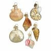 Top 10 ๐คฉ Traditions Mini Seashell Ornament Collection Set/6 ๐ 1 Top 10 ๐คฉ Traditions Mini Seashell Ornament Collection Set/6 ๐ -Traditions store 14016b