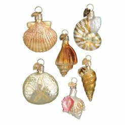 Top 10 🤩 Traditions Mini Seashell Ornament Collection Set/6 😀