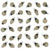 Buy 🔥 Traditions White Mercury Glass Shaped Ornaments Set/36 👍 1 Buy 🔥 Traditions White Mercury Glass Shaped Ornaments Set/36 👍 -Traditions store CCOXM7405