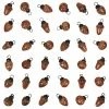 Deals 👏 Traditions Brown Mercury Glass Shaped Ornaments Set/36 👏 2 Deals 👏 Traditions Brown Mercury Glass Shaped Ornaments Set/36 👏 -Traditions store CCOXM7406